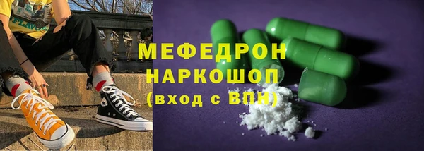 индика Осинники