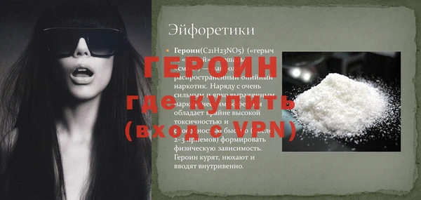 индика Осинники