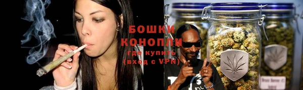 PSILOCYBIN Болхов
