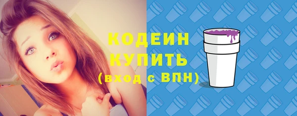 индика Осинники