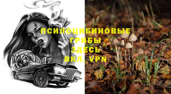 ПСИЛОЦИБИНОВЫЕ ГРИБЫ Осташков