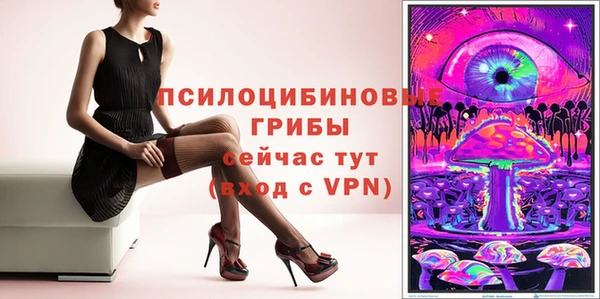 ПСИЛОЦИБИНОВЫЕ ГРИБЫ Осташков