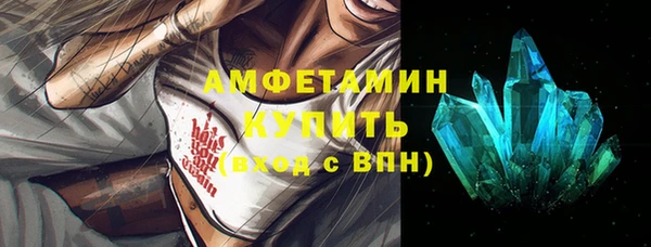 индика Осинники
