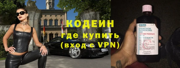 индика Осинники
