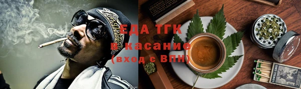 индика Осинники