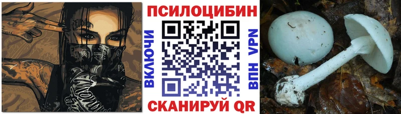 Псилоцибиновые грибы прущие грибы  Зеленоградск 